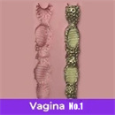 ヴァギナ構造:#1