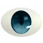 瞳の色:#2 Lyora限定