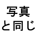 ウィッグ:掲載画像と同じ