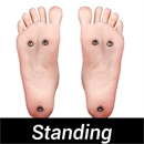 スタンディング機能:あり