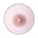 乳輪の色:ブラウン