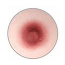 乳輪の色:ダークブラウン