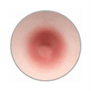 乳輪の色:赤褐色