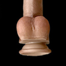 ペニスのタイプ:吸盤式の接続口(TPEボディ限定)