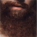 髭:毛量は多い