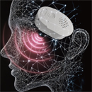 機能追加:AI知能会話(S31、R4 ROS MAX限定)