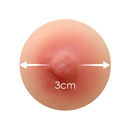 乳輪のサイズ:3cm