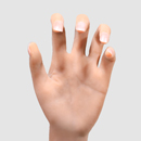 機能追加:指関節