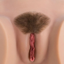 陰毛:毛量は多い