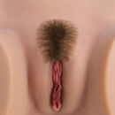 陰毛:毛量は適当