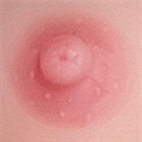 乳輪の色:ピンク