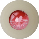 瞳の色:14(アニメヘッド専用)