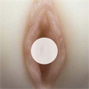 処女膜オプション:処女膜付き(一体型のみ)