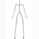 骨格:従来型スケルトン