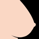 乳房タイプ:固体タイプ