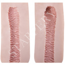 オナホタイプ:B