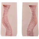 オナホタイプ:C