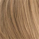 髪の毛の植毛:ウィッグタイプ-3