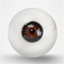 瞳の色:ブラウン(毛細血管付き)