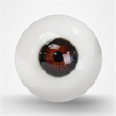 瞳の色:ブラウン