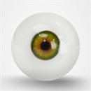 瞳の色:グリーン