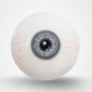 瞳の色:グレーブルー(毛細血管付き)