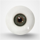 瞳の色:グレーグリーン