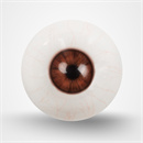 瞳の色:ライトブラウン(毛細血管付き)