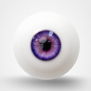 瞳の色:パープル