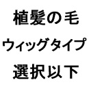 髪の毛の植毛:植髪の毛（ウィッグタイプ）