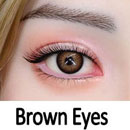 瞳の色:ブラウン