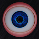 瞳の色:6
