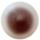 乳輪の色:ダークブラウン