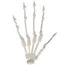 機能追加:指関節