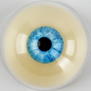 瞳の色:TPE-ブルー