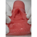 アナルタイプ:7(13cm)140-150cmを除く