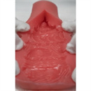 アナルタイプ:8(16cm)140-150cmを除く