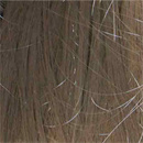 髪の毛の植毛:あり#4-ウィッグタイプ