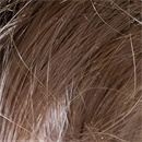 髪の毛の植毛:あり#5-ウィッグタイプ