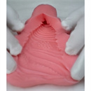 オナホタイプ:12(15.5cm)140-150cmを除く