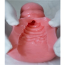 オナホタイプ:5(11.5cm)