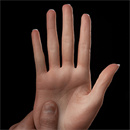 手のタイプ:硬い手
