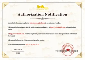 Irontech Doll証明書