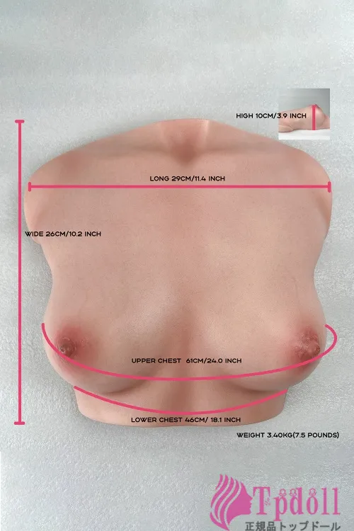 CLM Torso Si-B-61