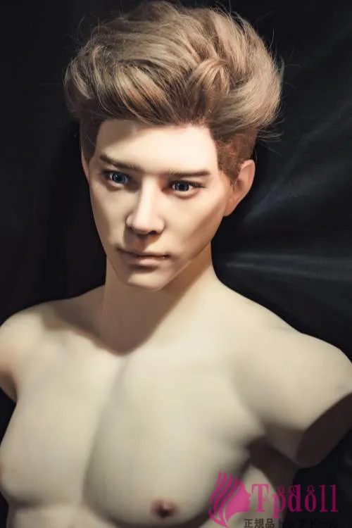 女性用セックスドールトルソー 