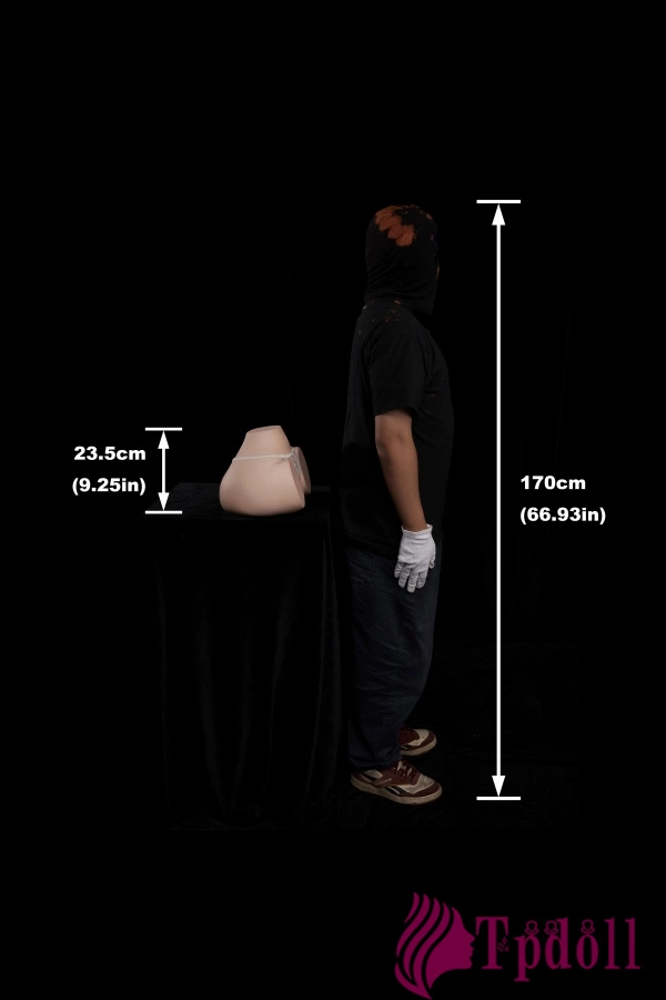 CLM Proシリーズ  リアル質感の尻部トルソー