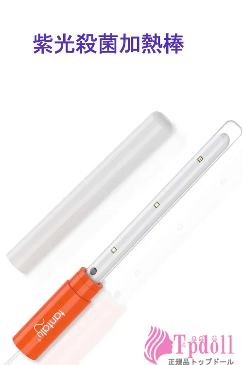 UV Germicidal Heating Rod