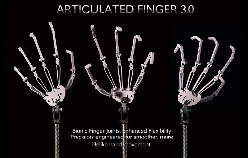 CLM 3.0 指関節機能