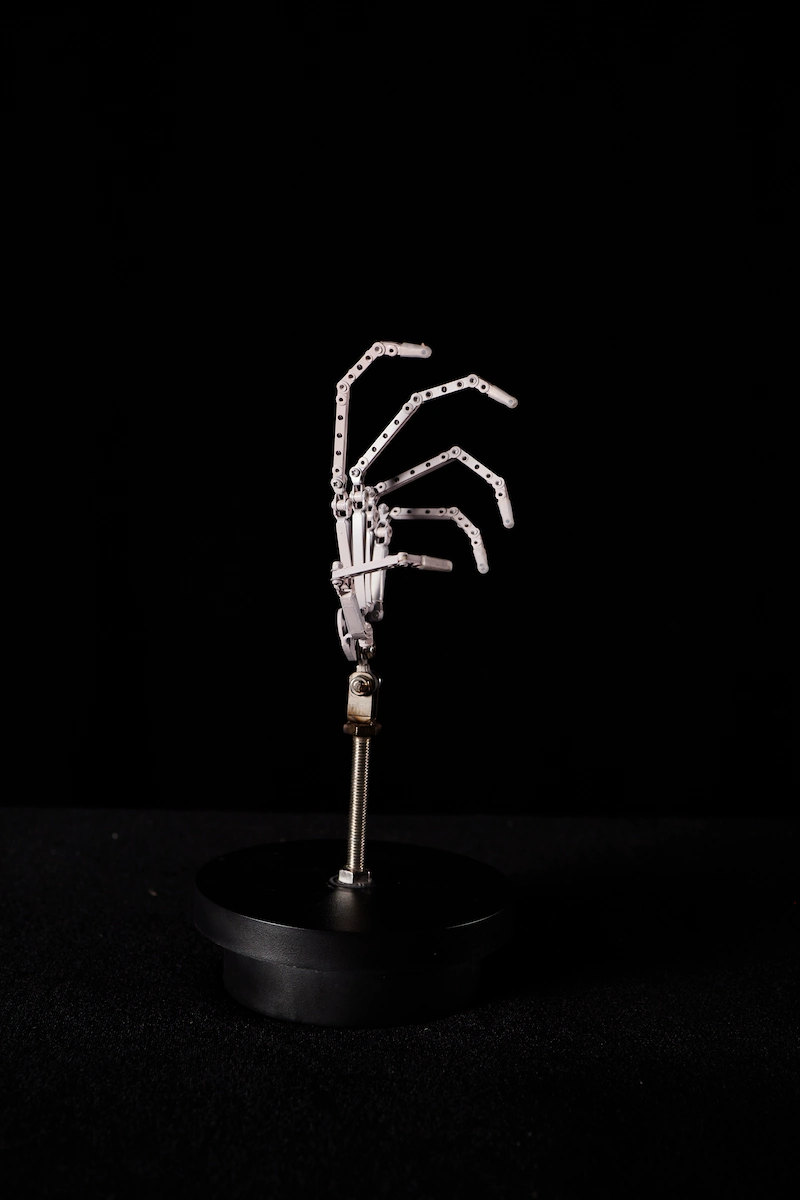 CLM 3.0 指の骨格構造