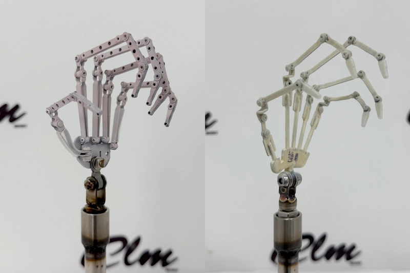 3.0と1.0の指関節